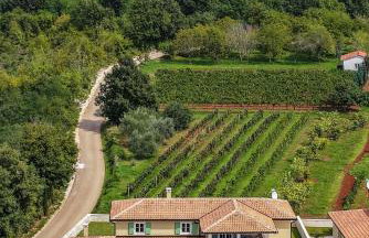 Villa LunIstra in Central Istria for 10 people with private pool & kids playground - Foto 12