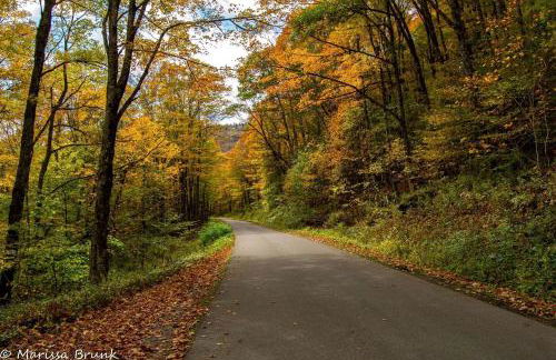 Cabin in the woods w/ WIFI close to Monongahela National Forest - Foto 20