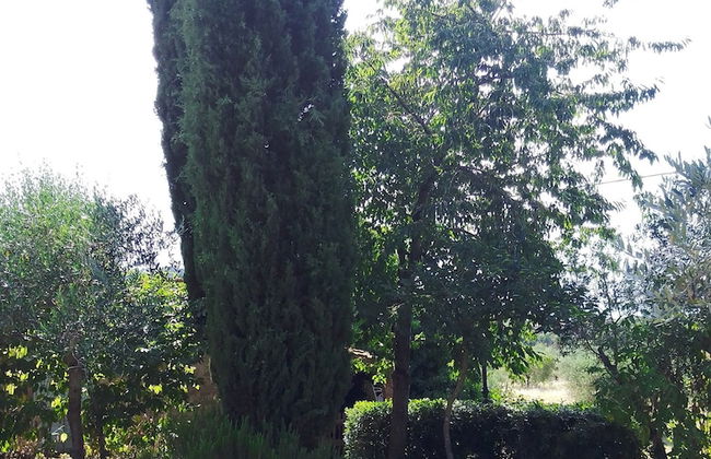 Borgo Cenaioli - Photo 36