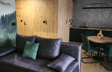 APARTAMENT Z PRYWATNYM GARAŻEM NARCIARSKA 14h - Foto 1