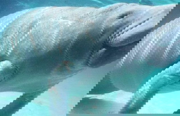 Ladyville 2Bed 2Bath - Foto 11