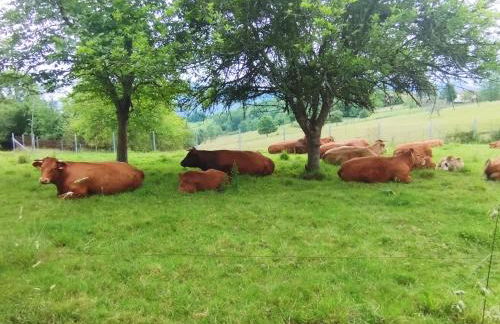 Casa Rural El Jondrigu - Photo 29