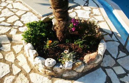 Golden Star - Foto 32