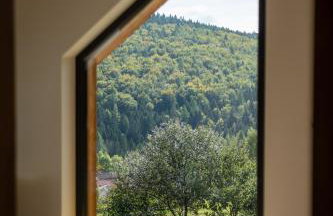 Drwalówka - Domek "POD GRAPĄ" - Foto 42