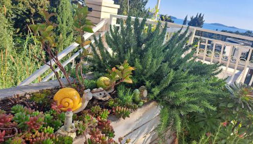 Apartment Blue Pearl - Foto 5, Garden
