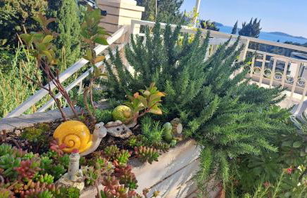 Apartment Blue Pearl - Foto 5