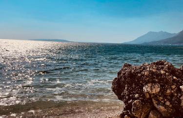 Studio Calma - Foto 44