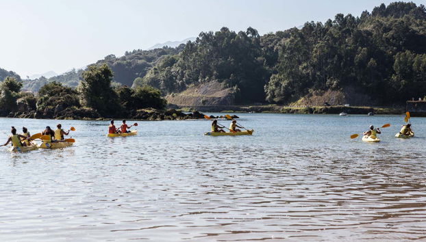 I partecipanti al tour a bordo dei kayak al largo della costa