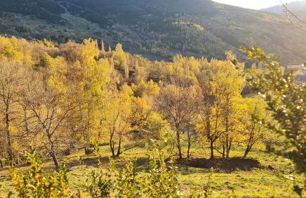 Tuhogarencerler parking y taquilla en pistas - Foto 66