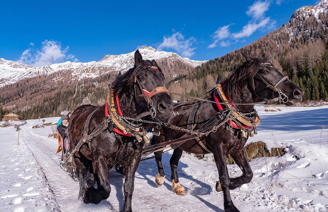 Der Brückenwirt - Foto 60