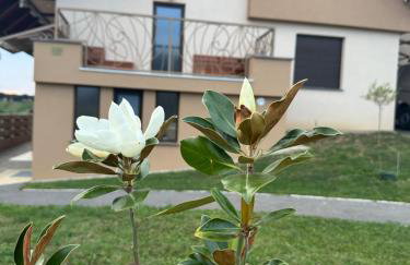 Villa Međimurka - Foto 16