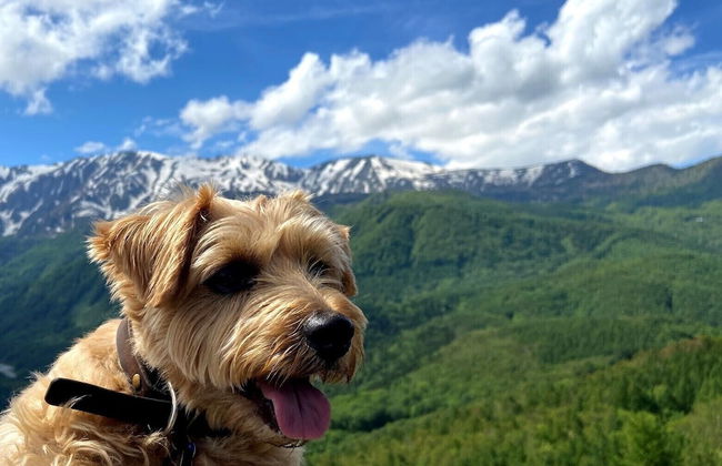 Hakuba Powder Mountain - Foto 52