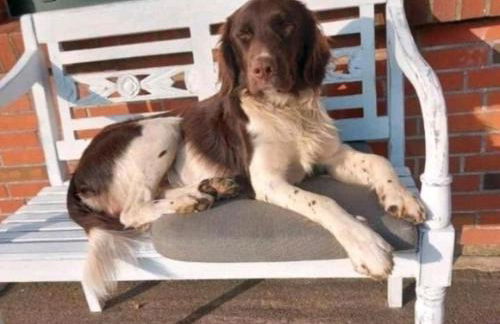 FeWo Mareike - Photo 10