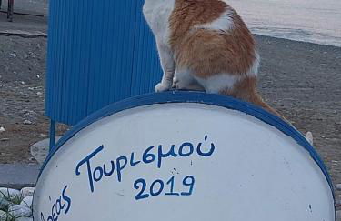 Oniro Rooms & Suites - Foto 21