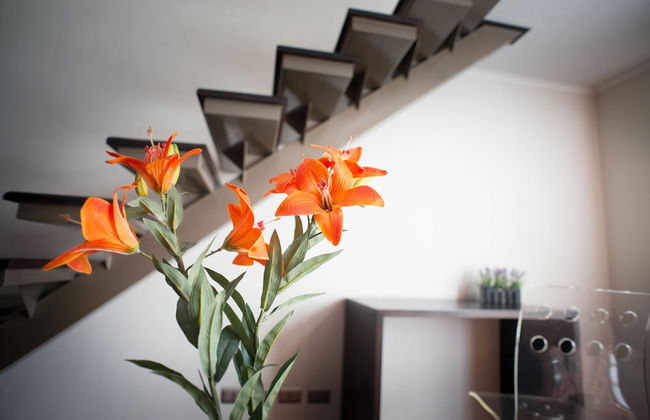 Villa Apartments Santiago - Foto 9