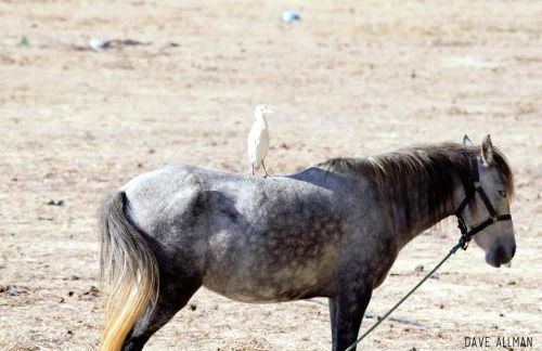 CozyHome - Cabanas - Photo 49