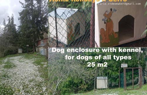 Villa Lolli - Foto 29