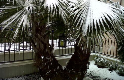 Residence Nobel - Foto 24