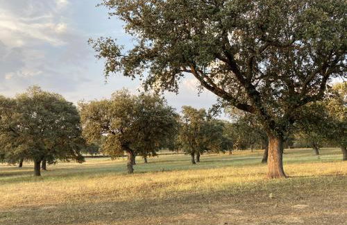 Cortijo Charcollana - Foto 31