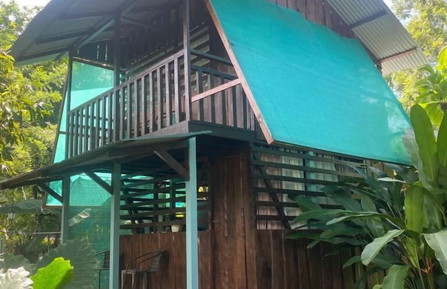 Morning Glory - Foto 46