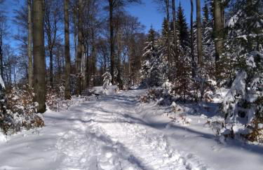 Haus Kellerwald - Ferienwohnung Kellerwald-Edersee - Foto 25