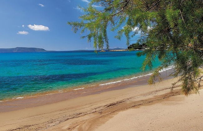 Estia Coastal Dream - Lush & Enchanting Garden Gem - Photo 5