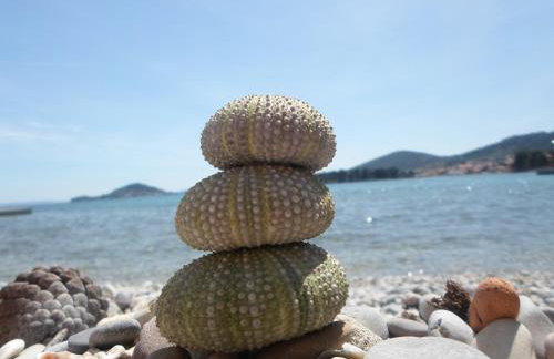 Beach apartment M & B - Foto 64