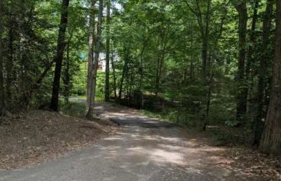 The Divine Cottage! Woodsy Hideaway! - Foto 55