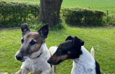Ferienhof Radlandsichten - Foto 9