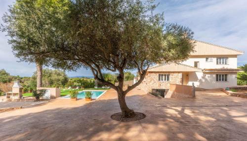 Villa Can Luciana with Private Pool near Palma - Foto 2, Garden, sunbed, Garden view