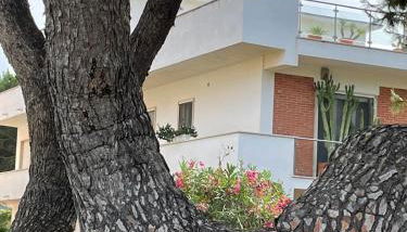 Confortevole appartamento tra spiaggia e pinete - Foto 3