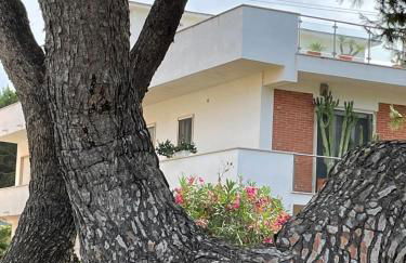 Confortevole appartamento tra spiaggia e pinete - Foto 3