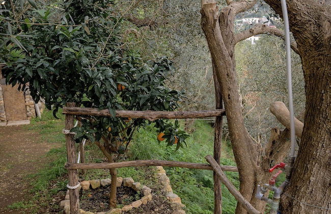 YourHome - Aury House - Foto 46