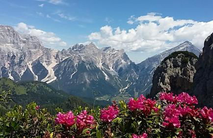 Appartamenti da Nica e Diego - Photo 7