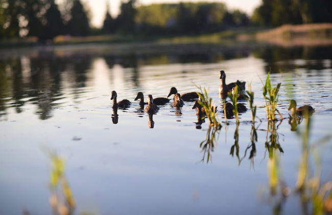 Erven Janovice Sckv023-ka - Foto 52