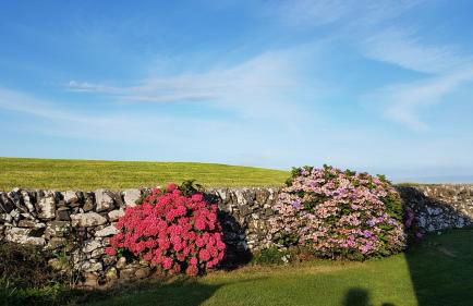 31 Laigh Isle - Foto 4