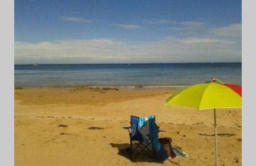 Pexe na mar - Foto 32