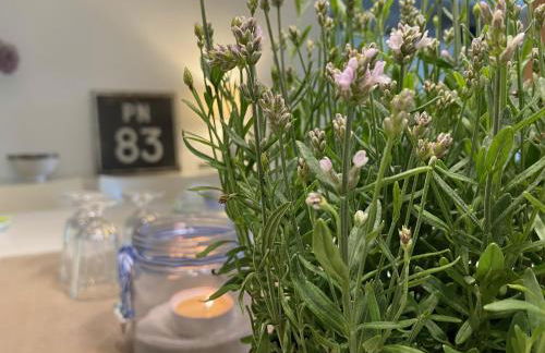 Ferienwohnungen Bosbuell Huus - Foto 8