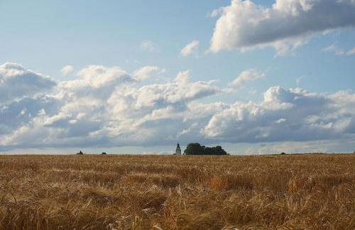 Ferienwohnung Reimann mit kostenloser AlbCard - Foto 14