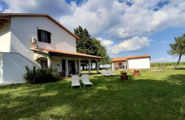 Agriturismo Uliveto Gretacci - Foto 5