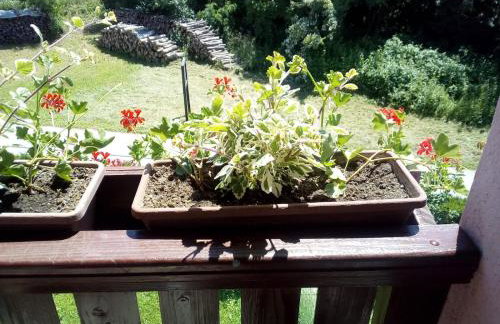 Apartment Nina - Foto 14