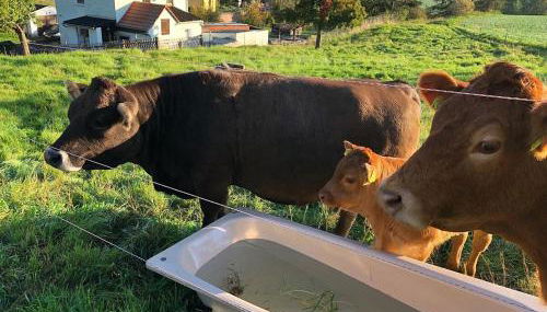 Laufenten Loft - Gutshof Dobschütz Bauernhof - Foto 2