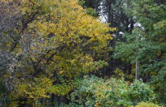 Casa Cerro da Correia - Foto 48