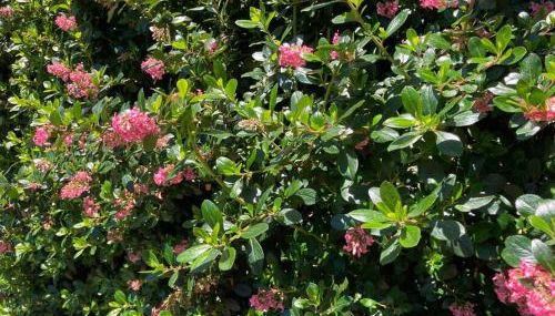 Coastal Studio - Foto 5