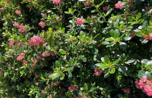 Coastal Studio - Foto 5