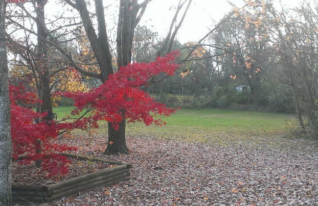 7 Bedroom Manor near Appomattox & Lynchburg - Photo 26