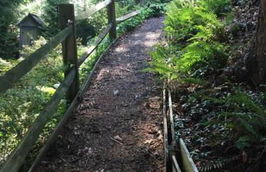 The Nuthatch Cabin - Asheville Tiny Home near the Smokie Mountains! - Foto 16