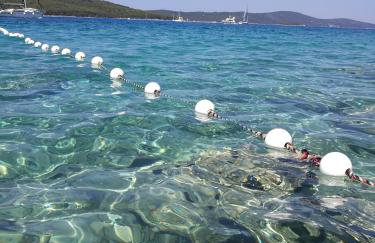 Apartmani Rita - Photo 5