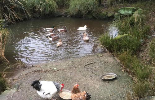 The Little Barn - Near St Ives Beaches & Walks, Dog Friendly - Foto 15