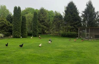 Agroturystyka nad stawami - Foto 23